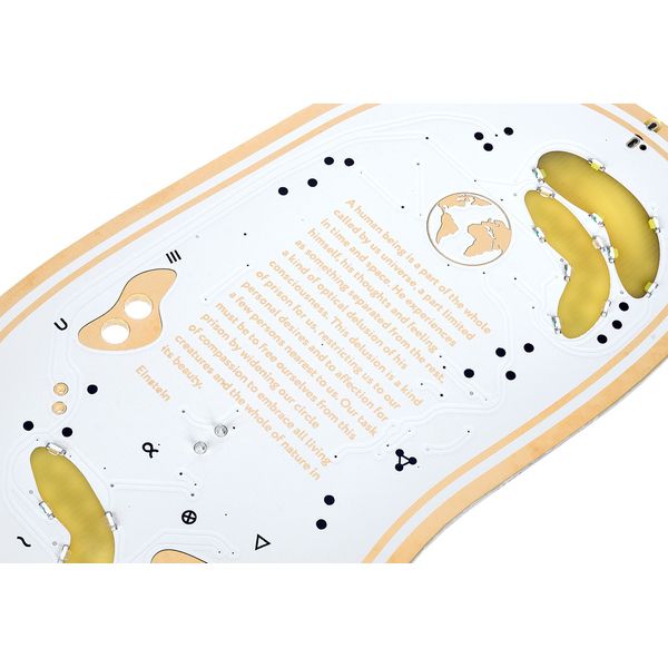 Playtronica Biotron Midi Controller - Midi Controller - Variation 2