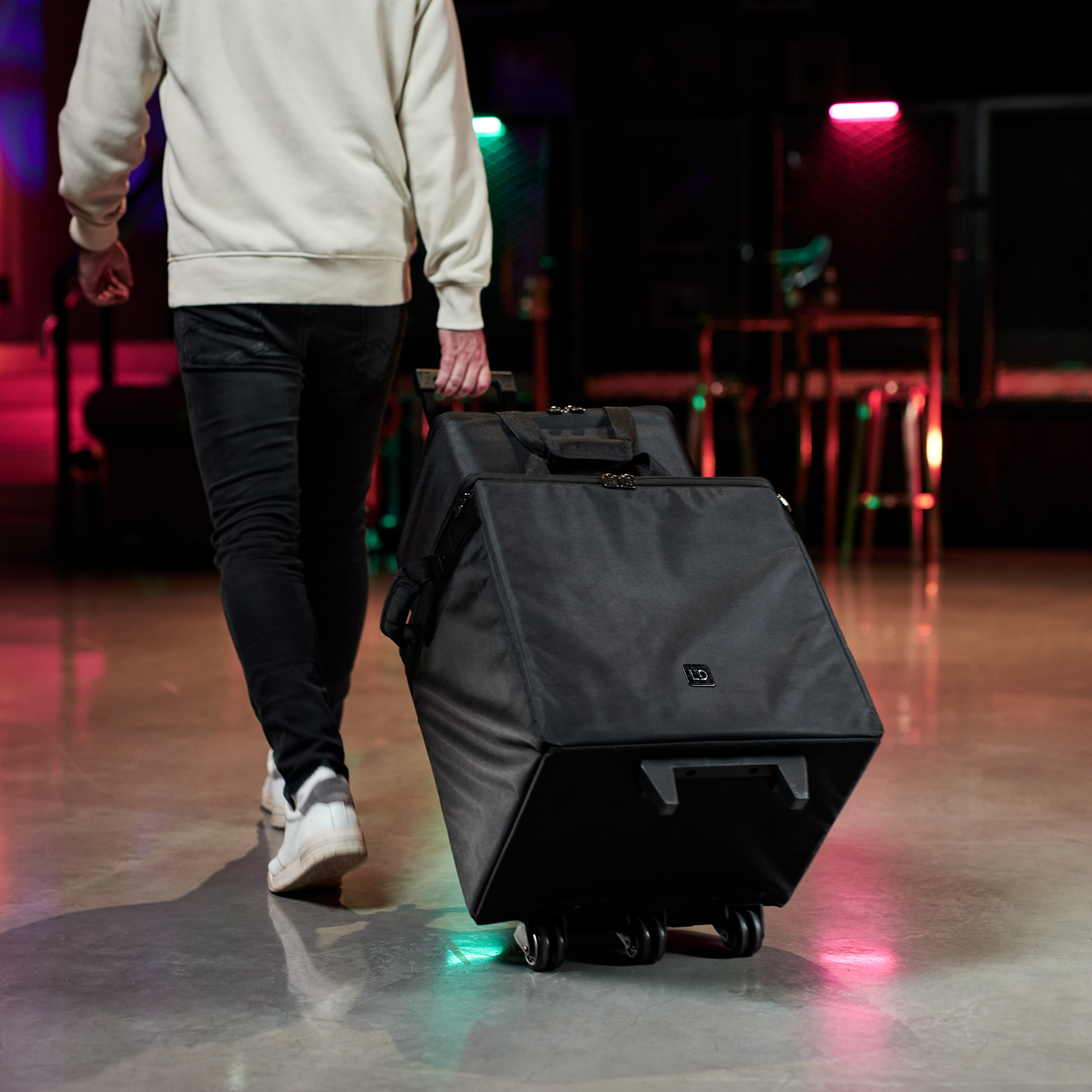 Ld Systems Dave 10 G4x Bag Set - Luidsprekers & subwoofer hoes - Variation 13