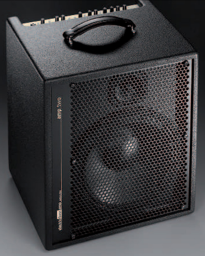 Aer Amp Two 240w 1x12 - Combo voor basses - Variation 1