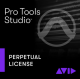 Studio Perpetual License
