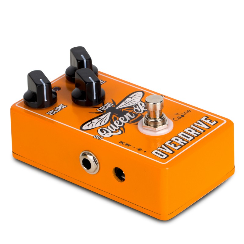 Caline Cp503 Queen Bee Overdrive - Overdrive/Distortion/fuzz effectpedaal - Variation 1