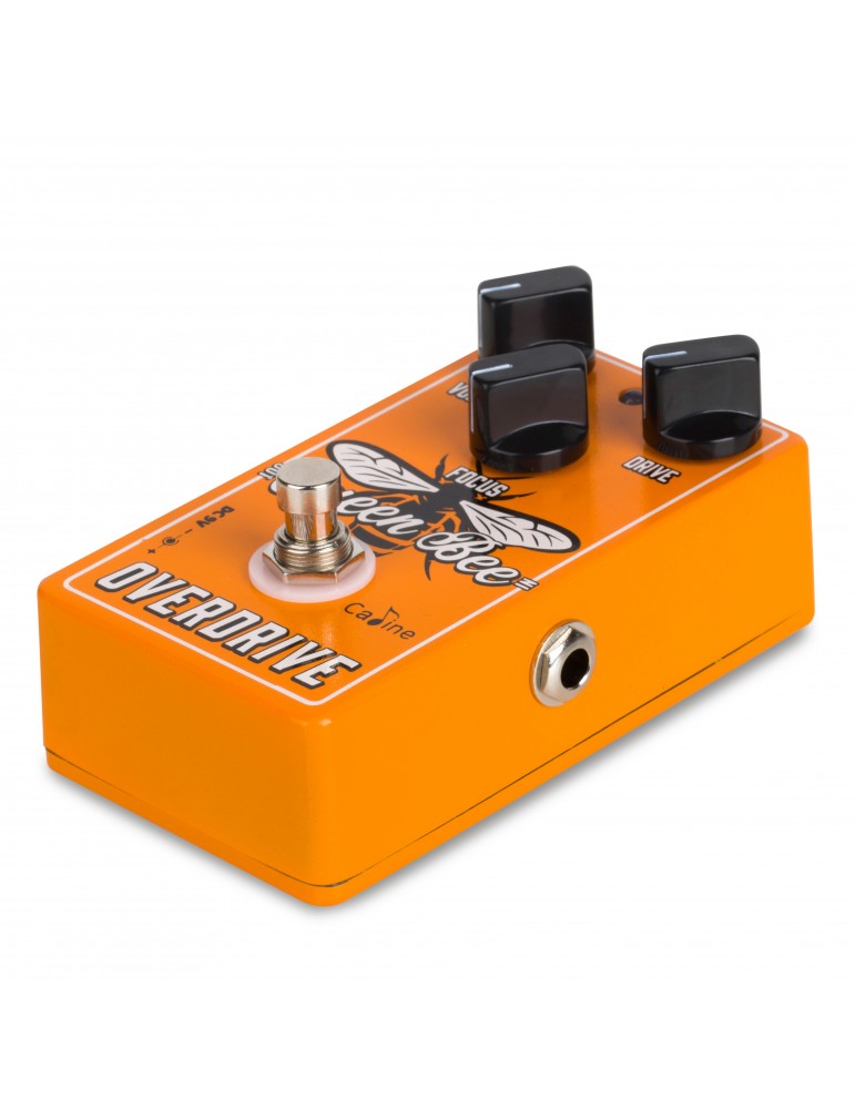 Caline Cp503 Queen Bee Overdrive - Overdrive/Distortion/fuzz effectpedaal - Variation 2