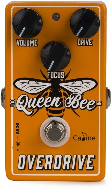 Caline Cp503 Queen Bee Overdrive - Overdrive/Distortion/fuzz effectpedaal - Main picture