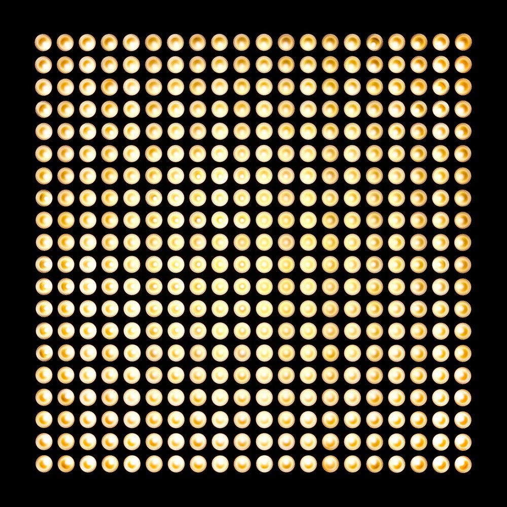 Cameo Matrix Panel 3ww - - LED staaf - Variation 4