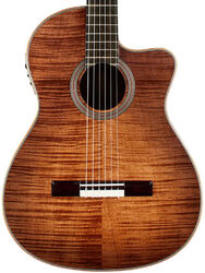 Klassieke gitaar 4/4 Cordoba Fusion 12 - cinammon burst
