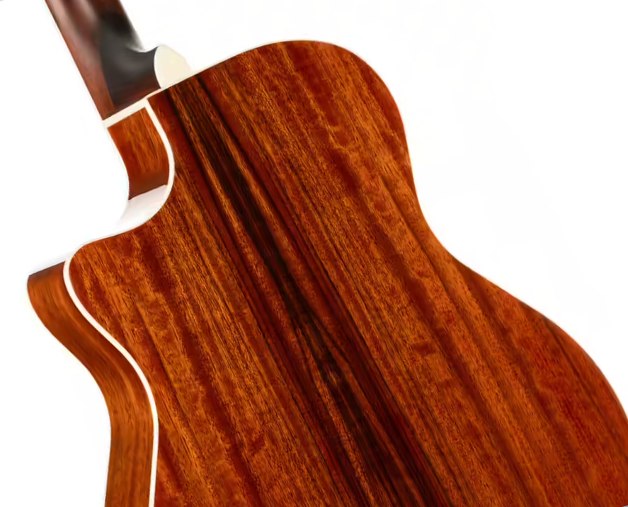 Cort Ga-dao Grand Regal Auditorium Cw Tout Dao Lau - Natural - Folk gitaar - Variation 2