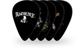1CWH4-01AL Alchemy Picks Skull Collection