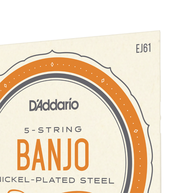 D'addario Ej61 5-string Bango Medium Nickel Plated Steel 010-023 - Banjosnaren - Variation 1
