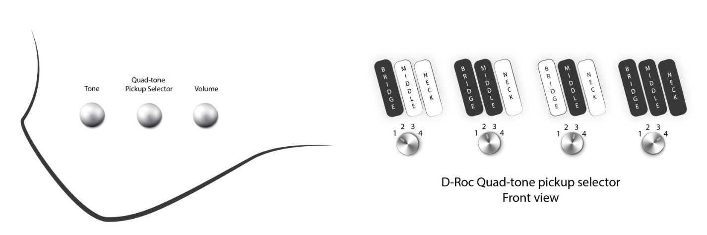 Dingwall D-roc Standard-3 5c 3pu Active Pf - Matte Metallic Gold - Solid body elektrische bas - Variation 1