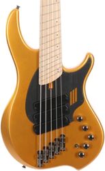 Solid body elektrische bas Dingwall Adam Nolly Getgood NG3 3-Pickups 5-String (MN) - Gold Matte