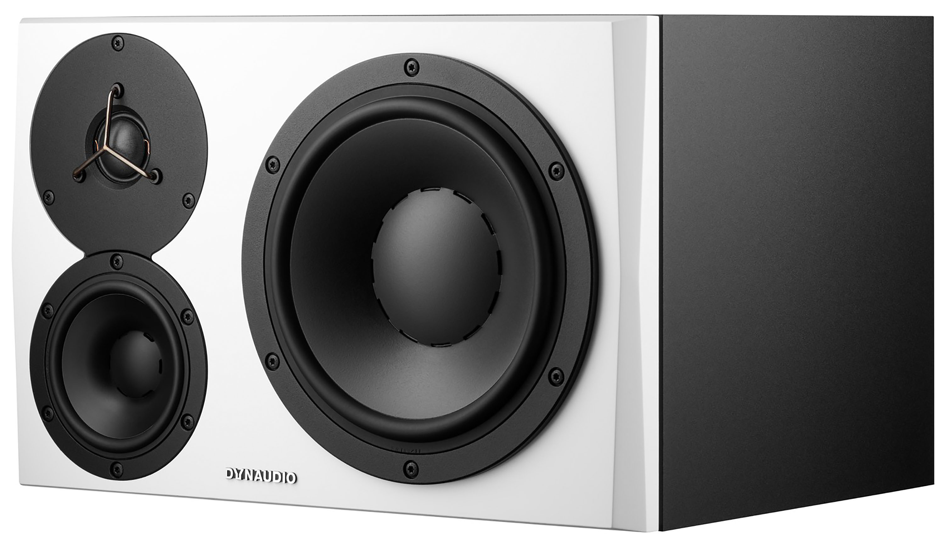 Dynaudio Lyd 48 B/w Left - La PiÈce - Actieve studiomonitor - Variation 3