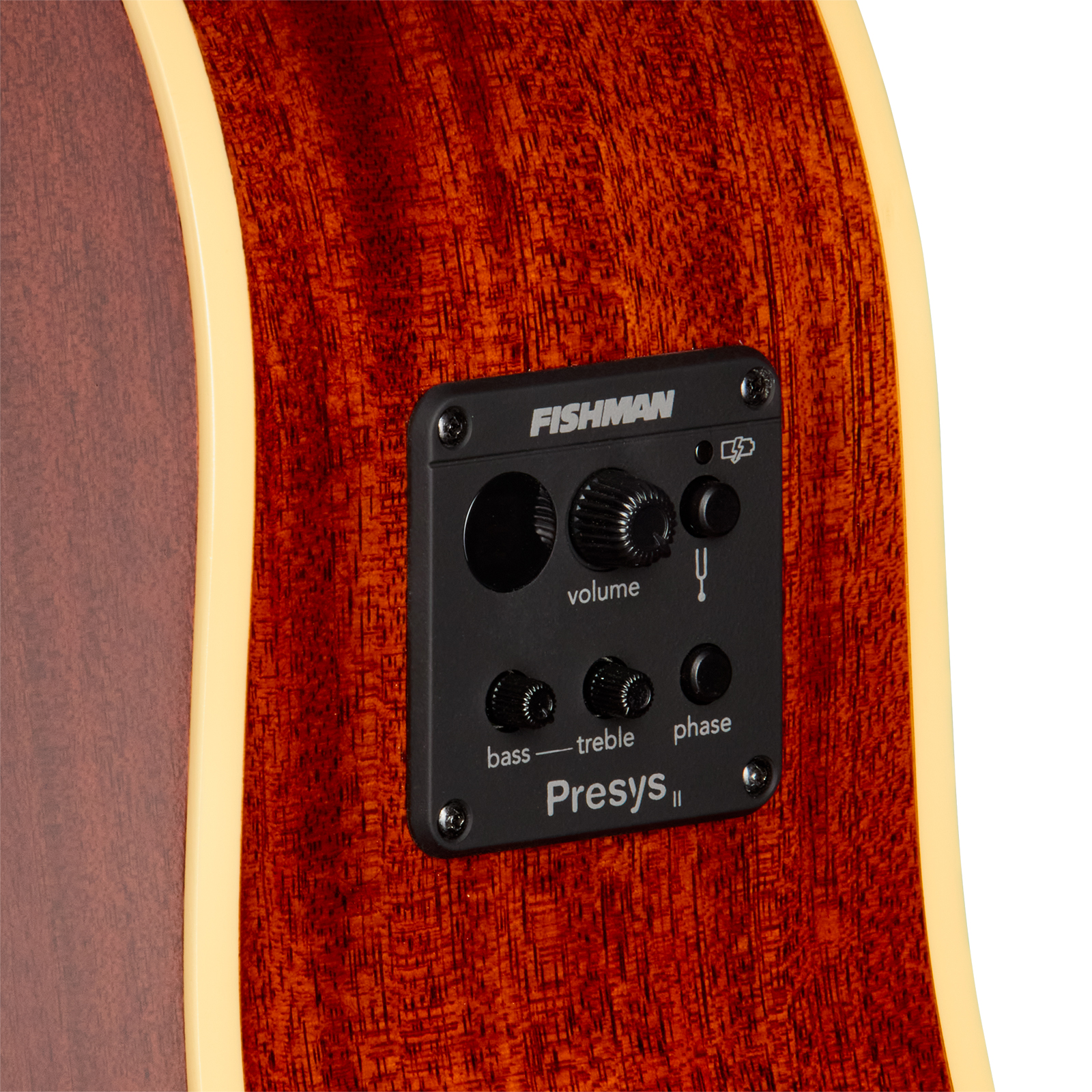 Epiphone J45 Standard Ec Ibg Dreadnought Cw Epicea Acajou Rw - Honey Burst - Folk gitaar - Variation 3