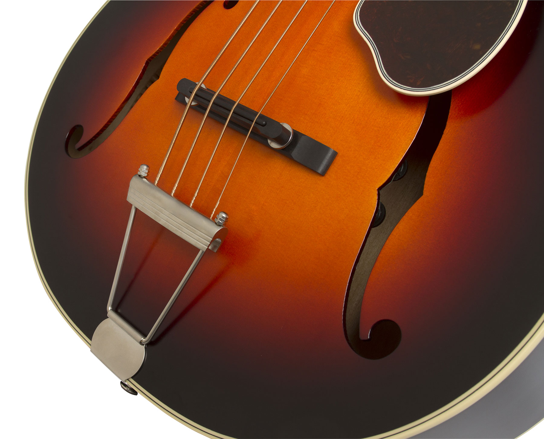 Epiphone Masterbilt Century De Luxe Classic 4-string Acoustic/electric Bass Eb - Vintage Sunburst - Hollow body elektrische bas - Variation 2