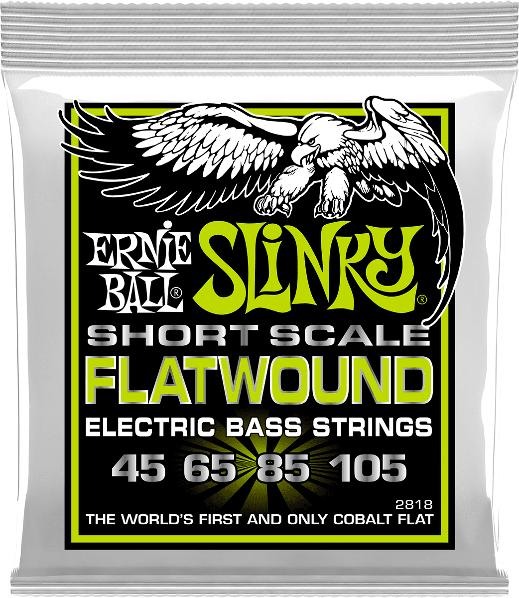 Ernie Ball Regular Slinky Flatwound Short Scale 45-105 - Elektrische bassnaren - Main picture