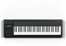 Synthesizer  Expressive e Osmose 61