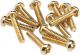 Pickup & Selector Switch Mounting Screws (12) - Gold