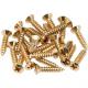 Pickguard - Control Plate Mounting Screws (24) Gold