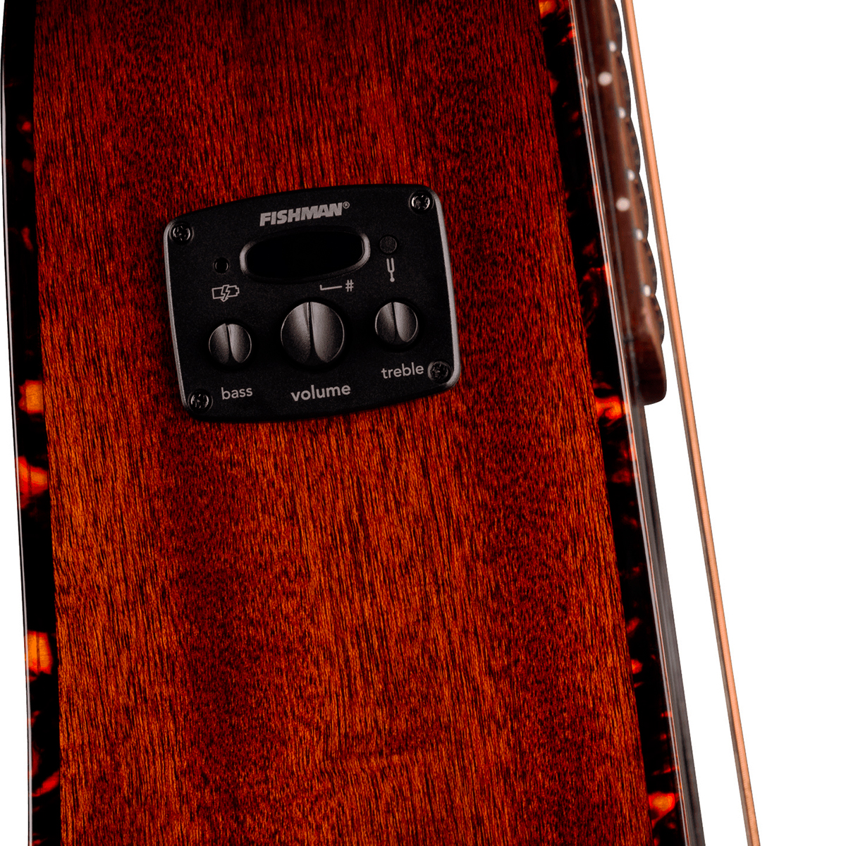 Fender Monterey Deluxe E California Orchestra Om Epicea Acajou Noy - Honey Sunburst - Folk gitaar - Variation 2