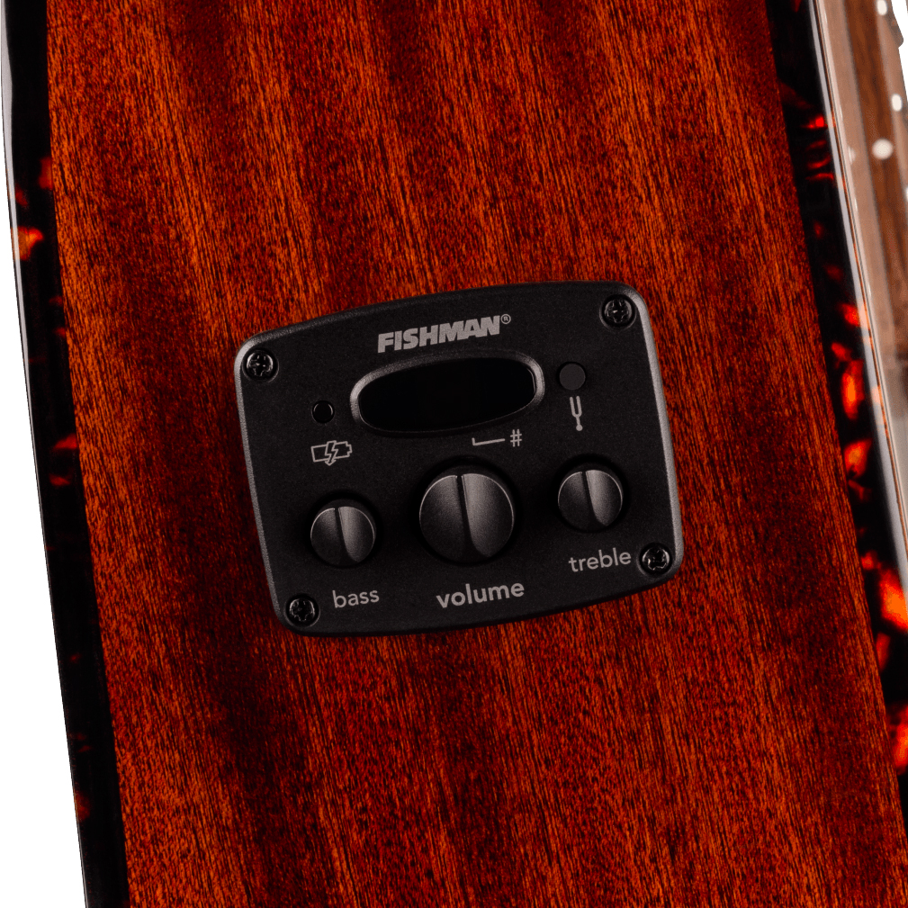 Fender Newporter Deluxe Ce California Auditorium Cw Epicea Acajou Wal - Sienna Sunburst - Folk gitaar - Variation 3