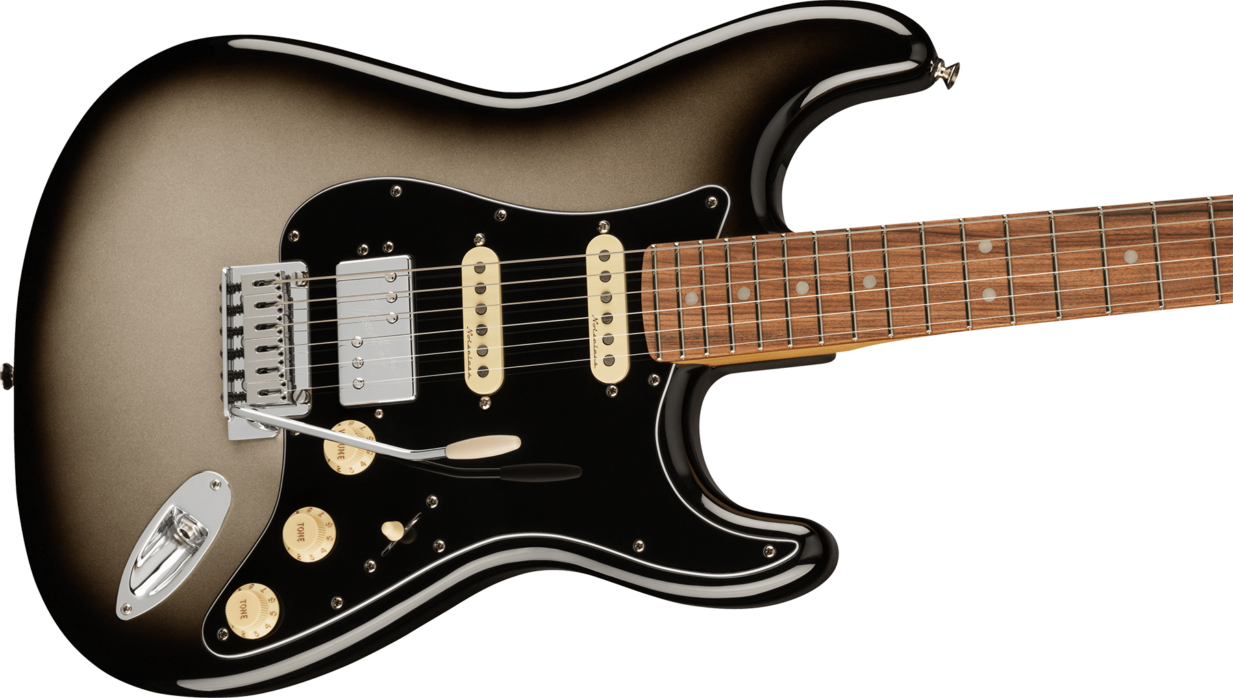 Fender Strat Player Plus Mex Hss Trem Pf - Silverburst - Elektrische gitaar in Str-vorm - Variation 2