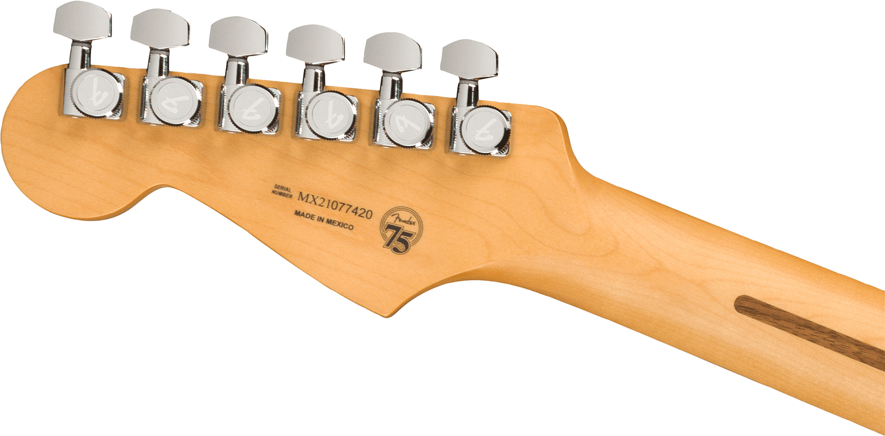 Fender Strat Player Plus Mex Hss Trem Pf - Silverburst - Elektrische gitaar in Str-vorm - Variation 3