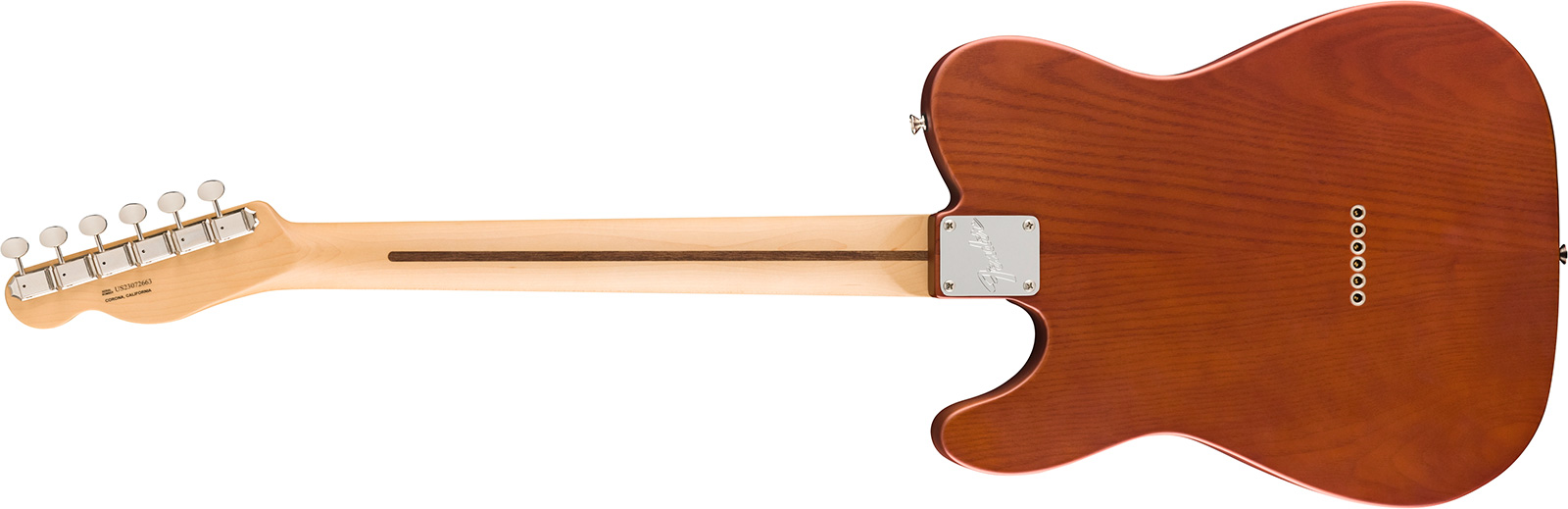 Fender Tele Timber Sassafras American Performer Fsr Ltd Usa 2s Ht Mn - Satin Mocha - Elektrische gitaar in Str-vorm - Variation 1