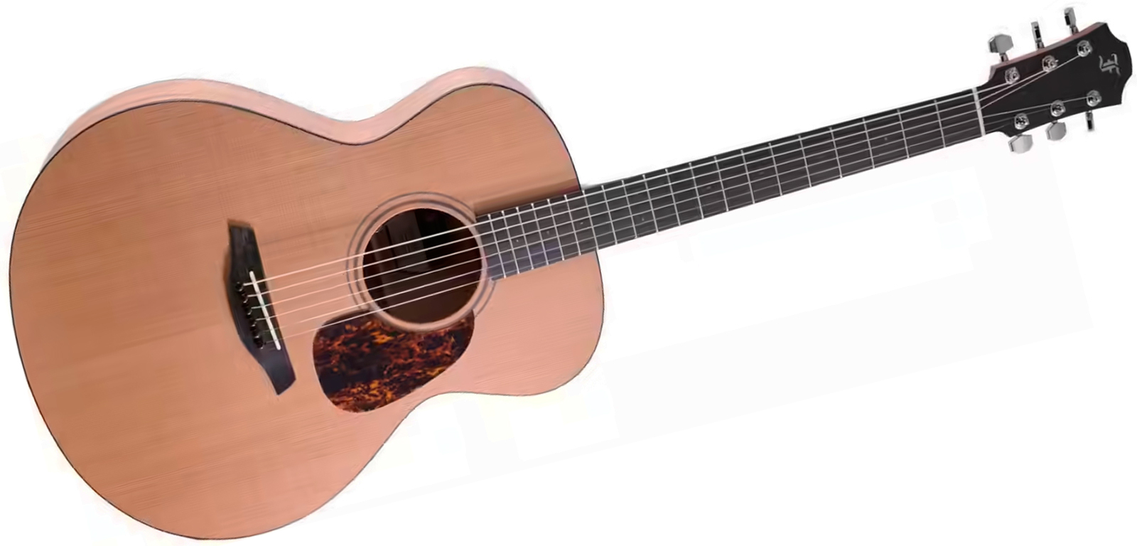 Furch Blue Cm A G Lrb1 Grand Auditorium Cedre Acajou Eb - Natural Open-pore - Folk gitaar - Variation 1