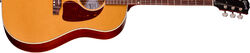 J-45 Standard (Baggs HiFi DNA Preamp) - goldtop