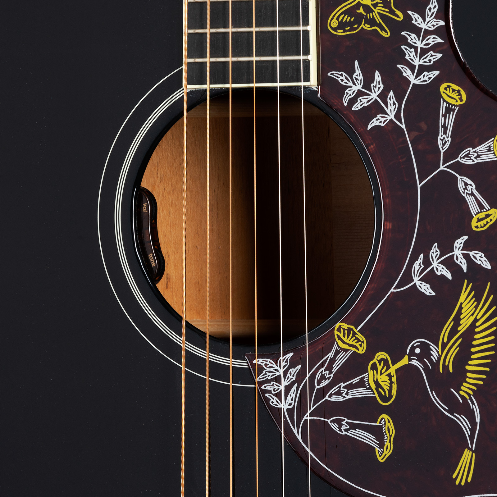 Gibson Hummingbird Standard Modern Dreadnought Epicea Acajou Rw - Ebony - Folk gitaar - Variation 4