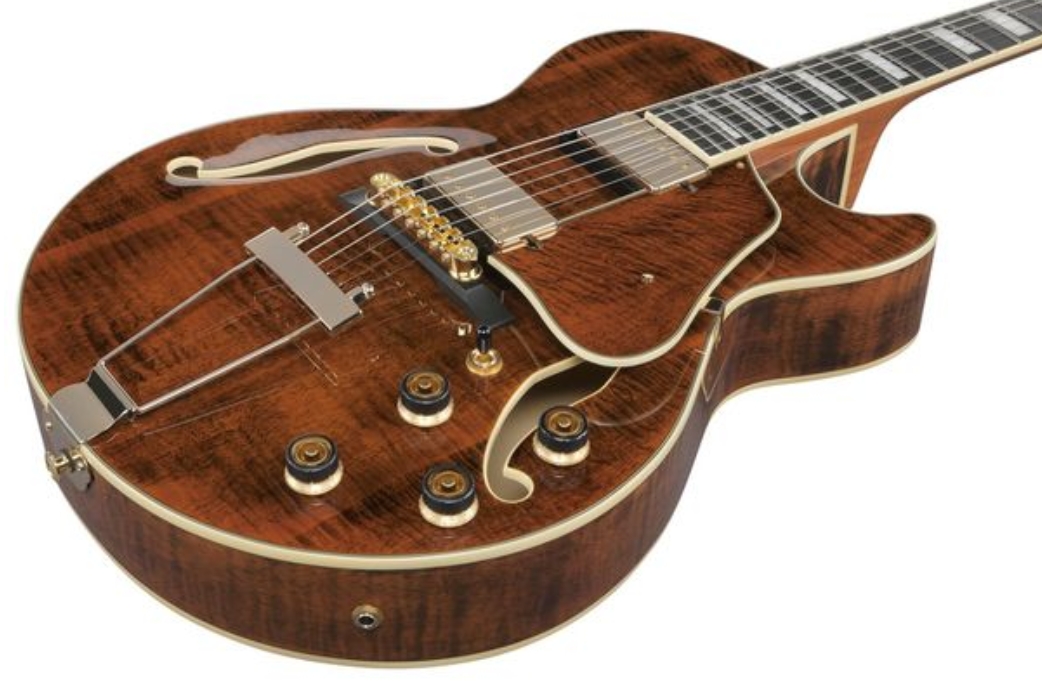 Ibanez Ag95mg Da Artcore Expressionist 2h Ht Eb - Dark Amber - Elektrische gitaar in Strat vorm - Variation 2