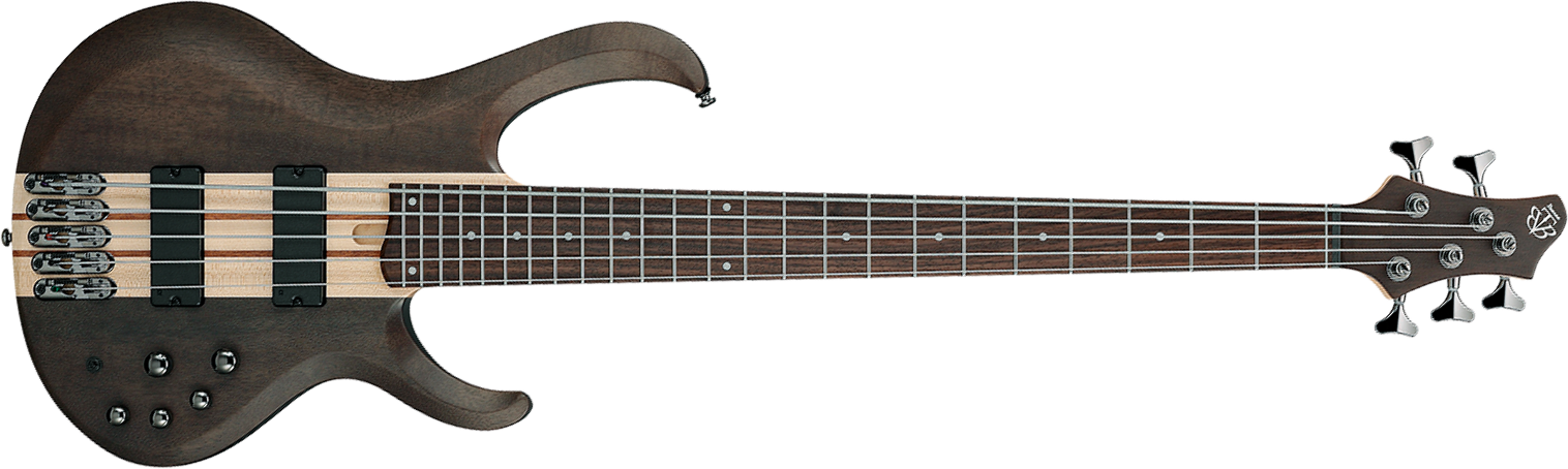 Ibanez Btb605 Tgf Standard 5c Active Eb - Transparent Gray Flat - Solid body elektrische bas - Main picture