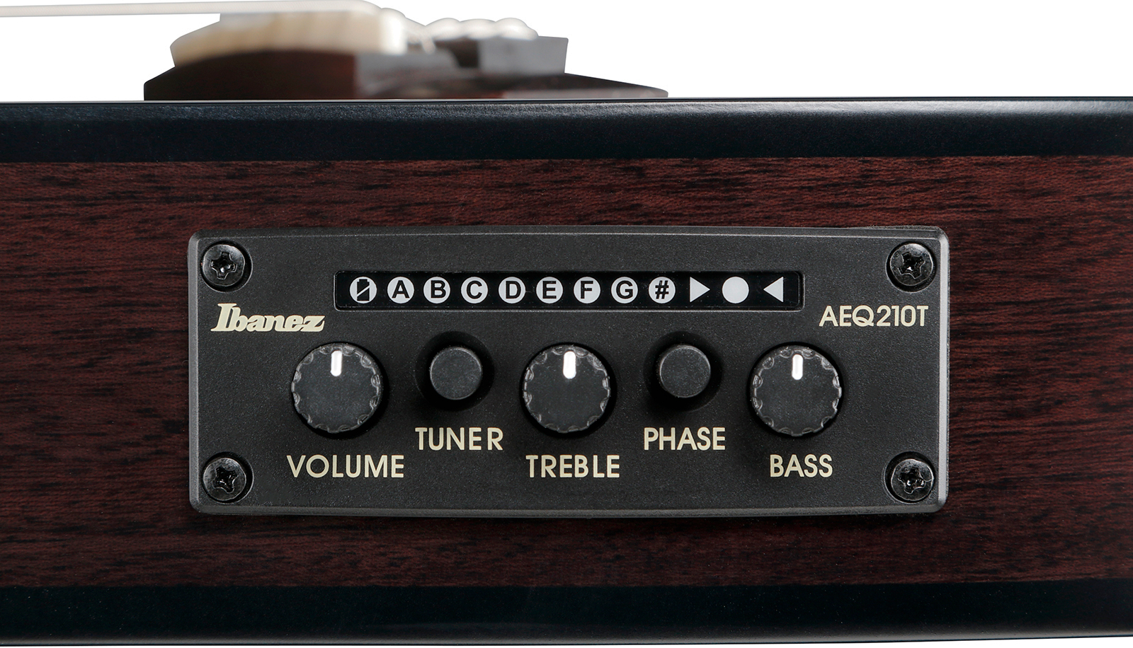 Ibanez Frh20fmn Dgl Hollow Cw Erable Sapele Rw - Deep Emerald Green - Klassieke gitaar 4/4 - Variation 4