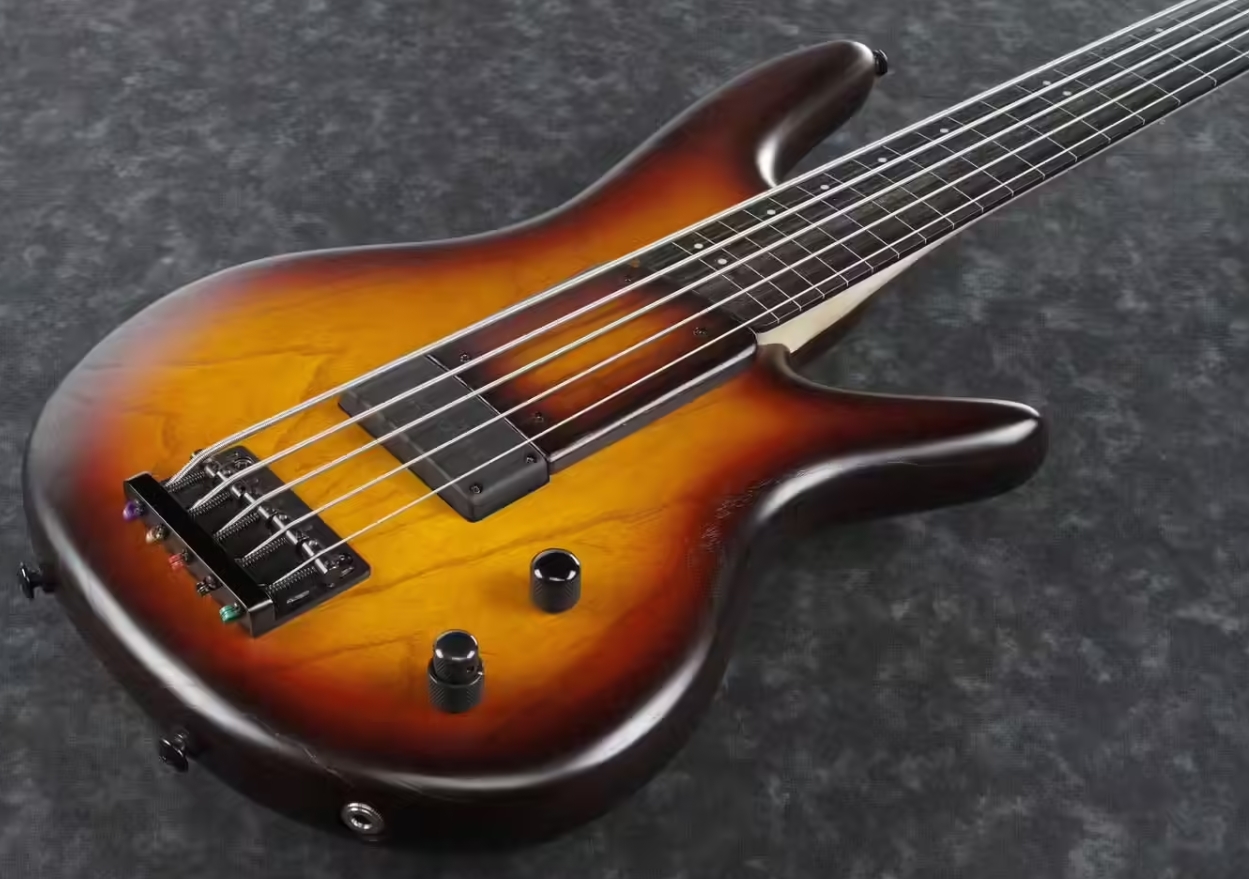 Ibanez Gary Willis Gwb205 Tqf Signature Fretless 5c Active Bartolini Eb - Tequila Sunrise Flat - Solid body elektrische bas - Variation 2