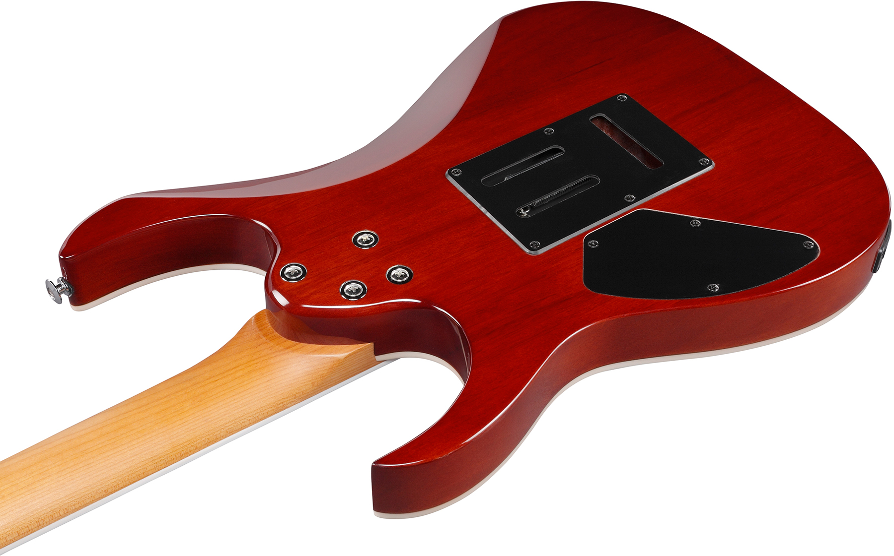 Ibanez Grg220pa1 Bkb Gio 2h Trem Pur - Transparent Brown Black Burst - Elektrische gitaar in Str-vorm - Variation 3