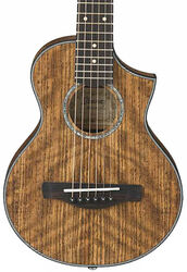 Volksgitaar Ibanez EWP14WB OPN - Open pore  natural