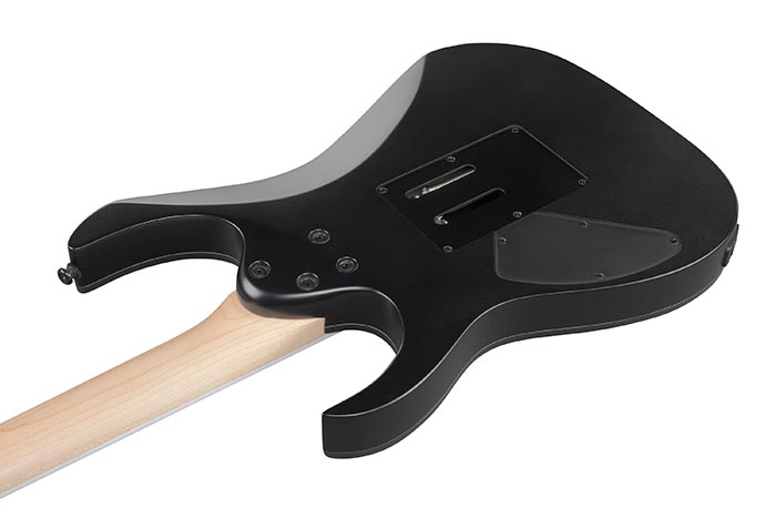 Ibanez Rg420ex Bkf Standard 2h Fr Jat - Black Flat - Elektrische gitaar in Str-vorm - Variation 3