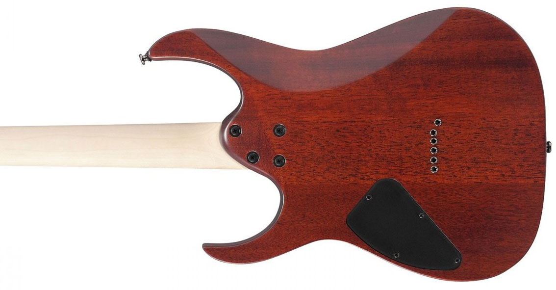 Ibanez Rg421s Sem Standard 2h Ht Ja - Sea Shore Matte - Elektrische gitaar in Str-vorm - Variation 3