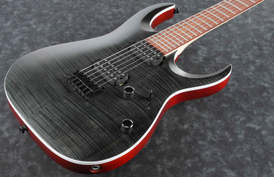 Ibanez Rga42fm Tgf Standard Hh Ht Rw - Transparent Grey Flat - Elektrische gitaar in Str-vorm - Variation 1
