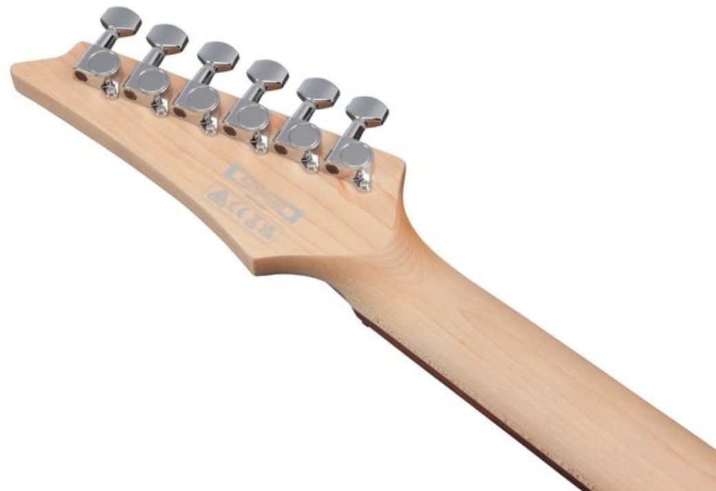 Ibanez Sa260fm Brg Standard Hss Trem Jat - Blue Reef Gradation - Elektrische gitaar in Strat vorm - Variation 4