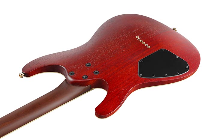 Ibanez Sew761fm Ntf Standard Hss Dimarzio Ht Rw - Natural Flat - Elektrische gitaar in Str-vorm - Variation 3