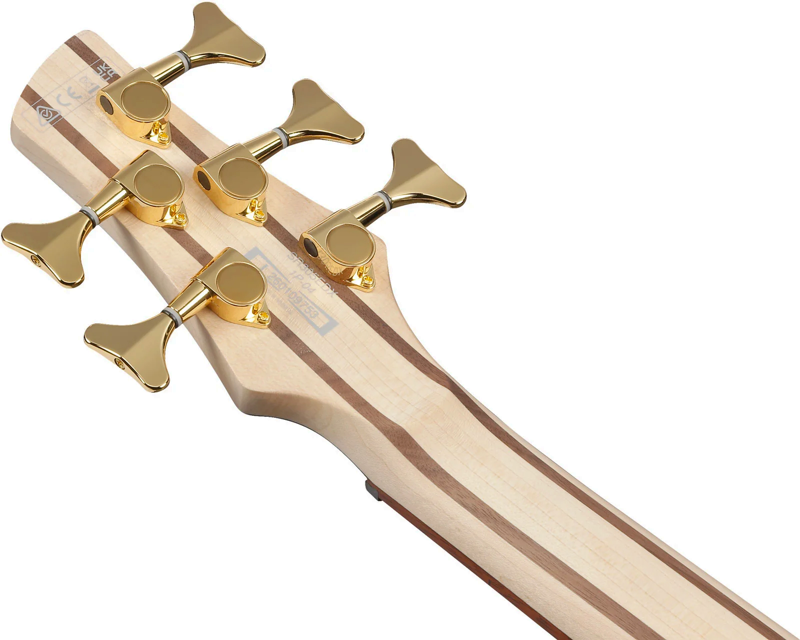 Ibanez Sr305edx Fdm Standard 5c Active Jat - Frozen Gold Matte - Solid body elektrische bas - Variation 5