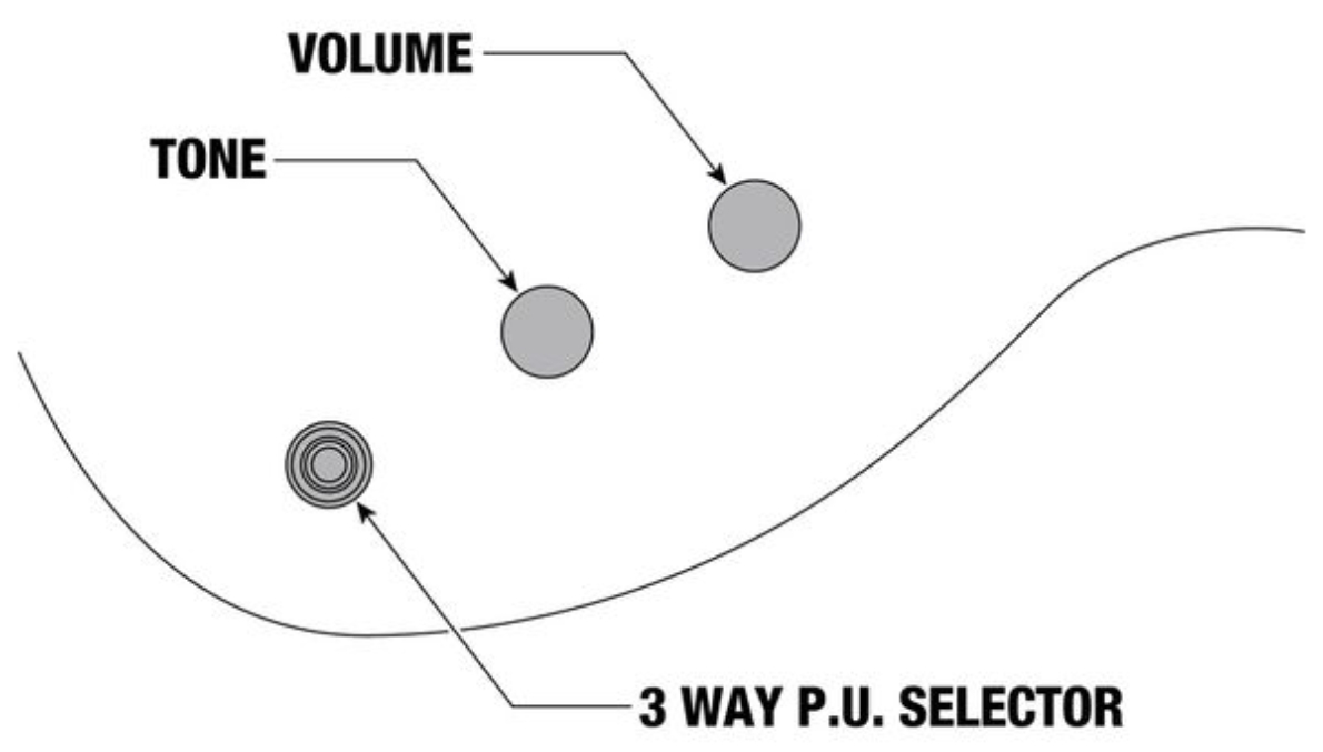 Ibanez Xpt420dx Rgc Standard 2h Fr Rw - Rose Gold Chameleon - Metal elektrische gitaar - Variation 5