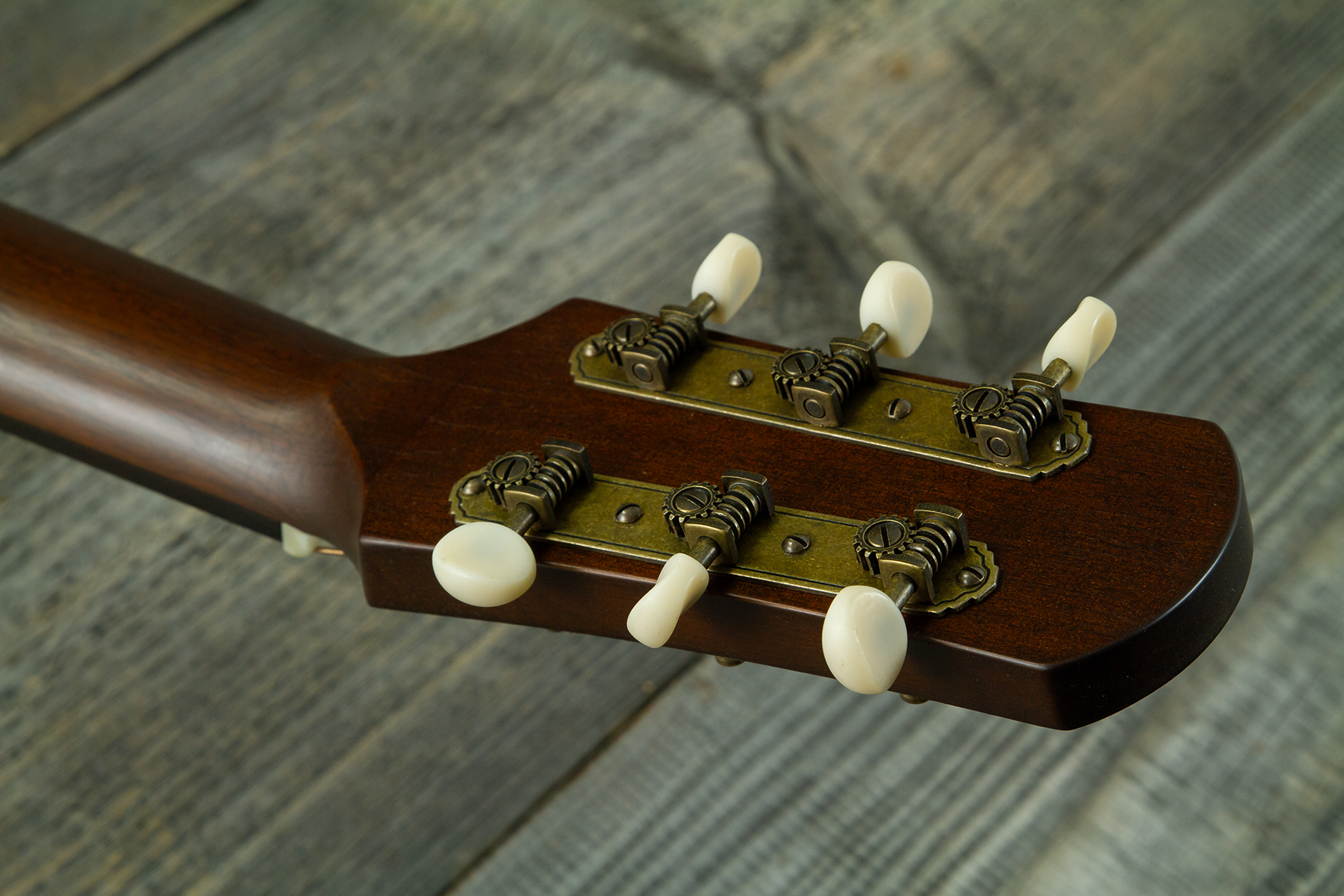 Iris Df Dreadnought Epicea Acajou Rw #1435 - Relic Tobacco Burst - Folk gitaar - Variation 11