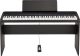 B2+ SP Black