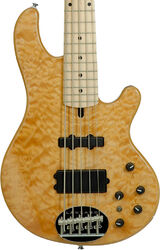 LAKLAND Skyline 55-02 Deluxe QMT 5-String