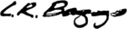logo LR BAGGS