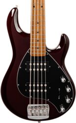 Solid body elektrische bas Music man StingRay Special HH 5-String +Gig Bag - Translucent Oxblood