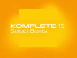 Plug-in effect Native instruments Komplete 15 Select beats DL