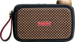 Elektrische gitaar mini versterker Positive grid Spark Go