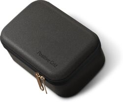 Versterker hoes Positive grid Spark Go Case